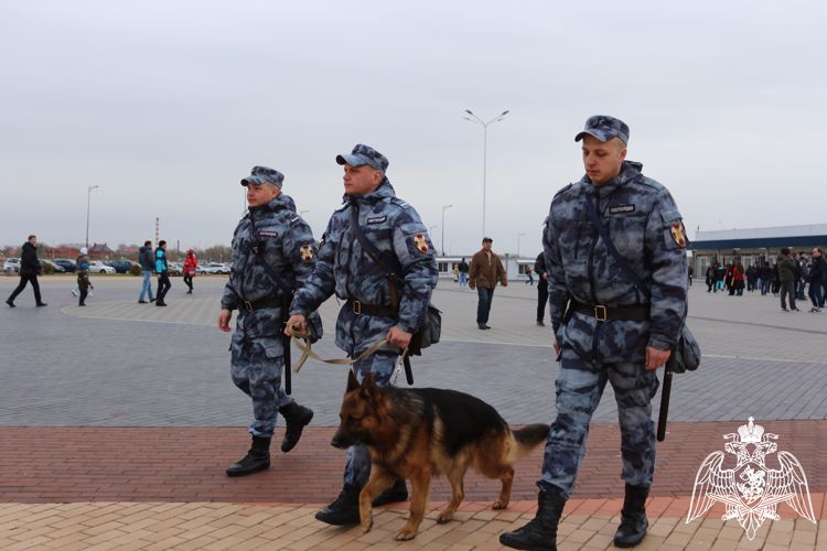 В Калининграде росгвардейцы задержали мужчину, находящегося в федеральном розыске