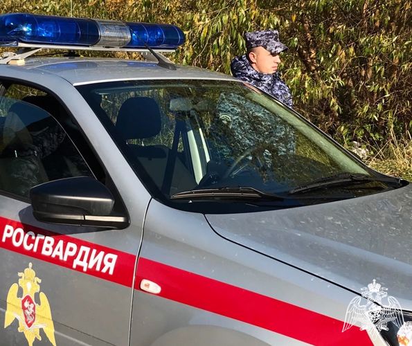 Сотрудники Росгвардии задержали калининградца за хищение из магазина