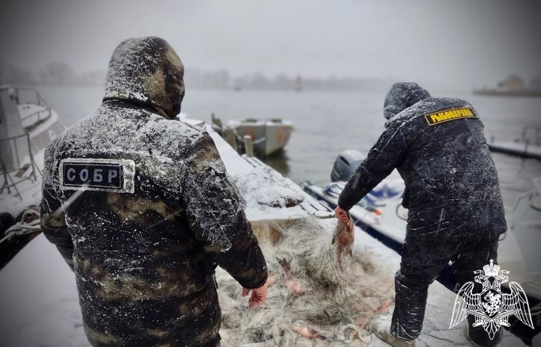 При участии спецподразделений Росгвардии в Калининградской области в 2022 году проведено 492 рейда по пресечению незаконной добычи водных биоресурсов