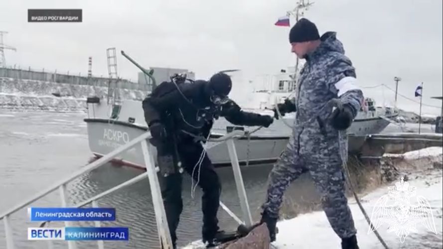 Телесюжет ГТРК «Калининград», о том как водолазы СОБР Росгвардии отработали поиск взрывных устройств в акваториях