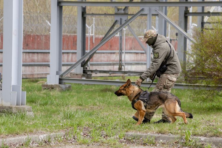 Сотрудники Росгвардии приняли участие в антитеррористических учениях в Калининграде