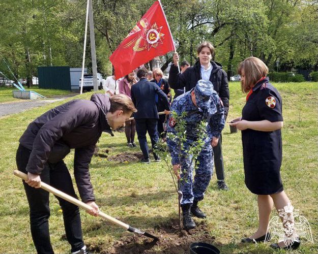 В Калининграде росгвардейцы вместе со школьниками посадили деревья