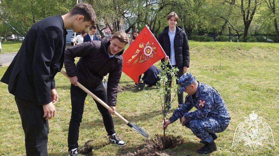 В Калининграде росгвардейцы вместе со школьниками посадили деревья