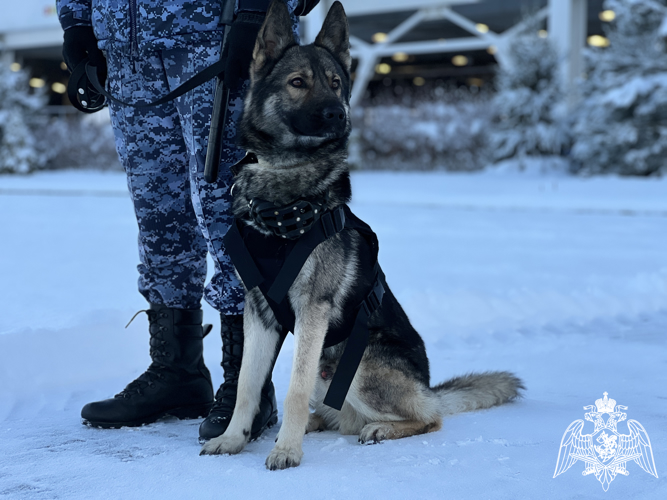 В Калининграде сотрудники и военнослужащие Росгвардии обеспечили безопасность футбольного матча РПЛ