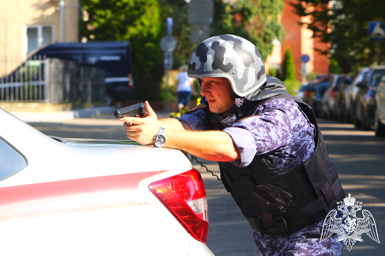В Калининградской области при содействии  вневедомственной охраны Росгвардии раскрыто 38 преступлений