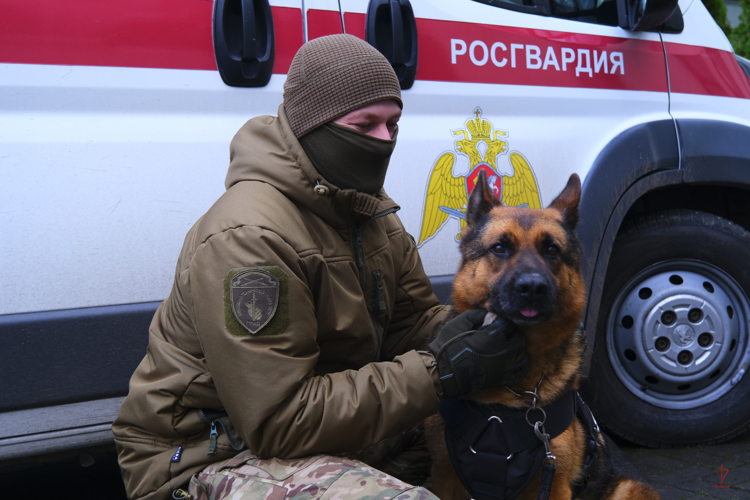 Собака-пенсионер ОМОН «Град» Росгвардии по кличке Базука претендует на «Лохматый Оскар»