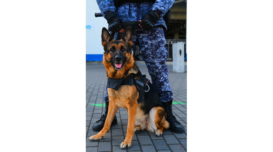Безопасность футбольного матча Первой лиги обеспечили калининградские росгвардейцы