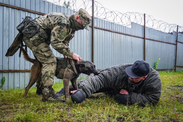 В Северо-Западном округе Росгвардии стартовал летний период подготовки