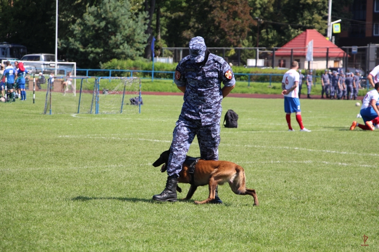 В Калининграде росгвардейцы приняли участие в турнире по боксу памяти Героя России Сергея Чебнева (видео)