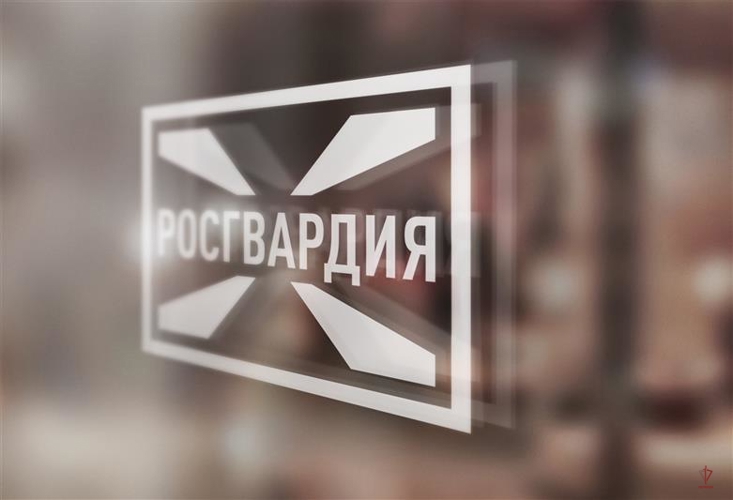 В Калининграде начальник Центра лицензионно-разрешительной работы Управления Росгвардии по Калининградской области проведет прямую линию по вопросам добровольной сдачи оружия