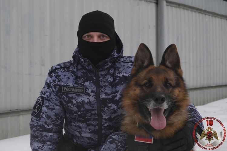 Кинологи специального моторизованного полка Росгвардии стали героями видеоролика о работе кинологических подразделений Росгвардии 