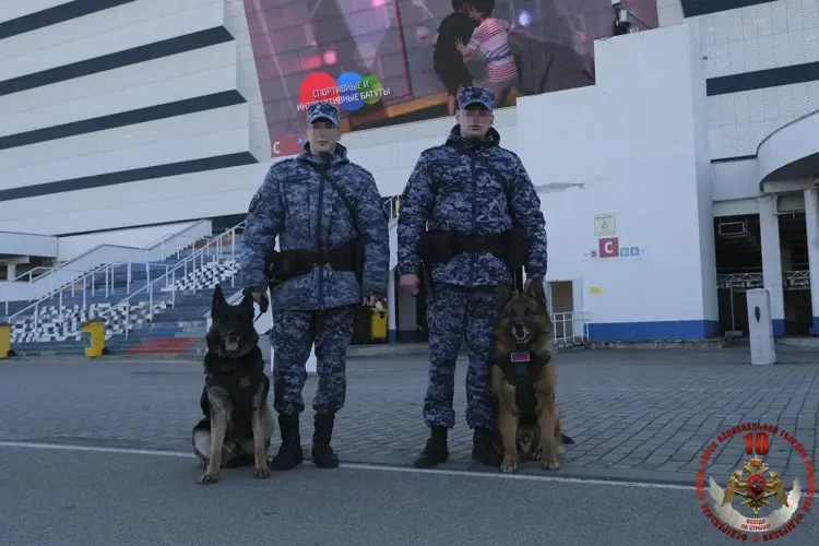 Калининградские росгвардейцы обеспечили безопасность футбольного матча Российской премьер-лиги