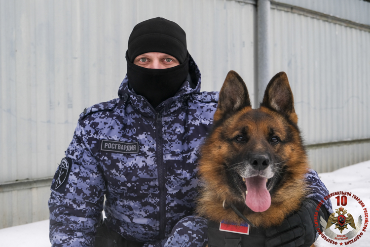 Специалисты-кинологи и служебные собаки Росгвардии отмечают 117-ую годовщину со дня основания службы